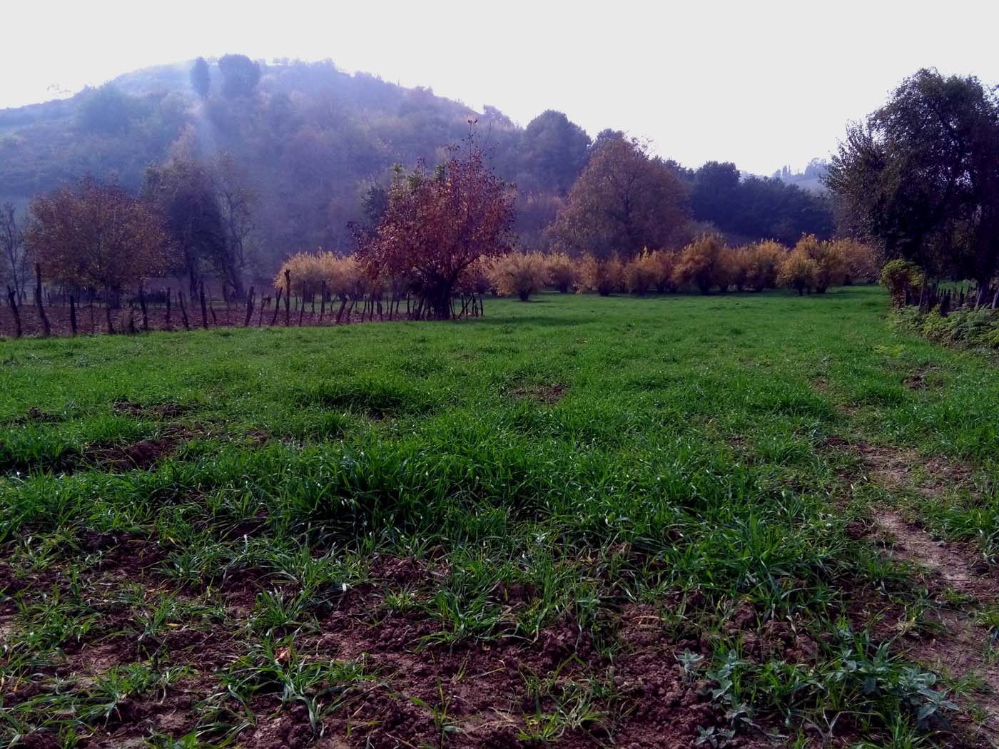 1_32_.jpg (1400×1050)