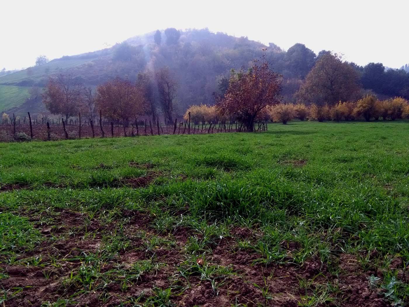 1_33_.jpg (1400×1050)