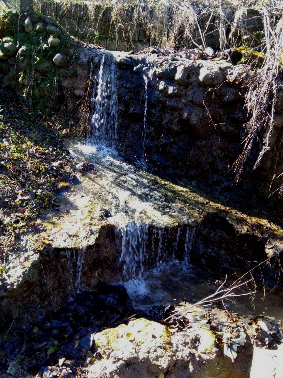 1_1_.jpg (960×1280)