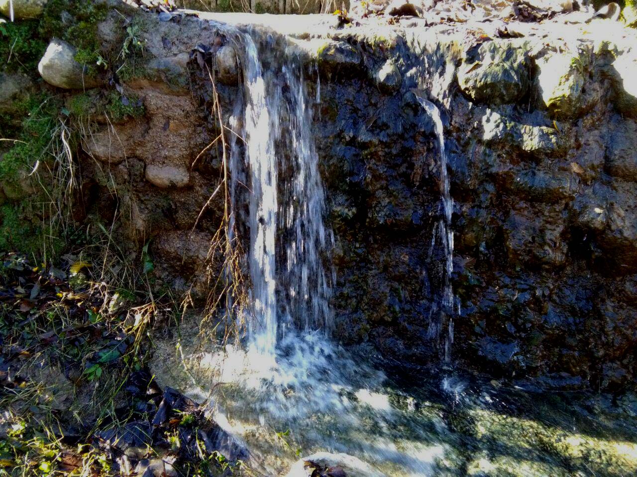 1_3_.jpg (1280×960)