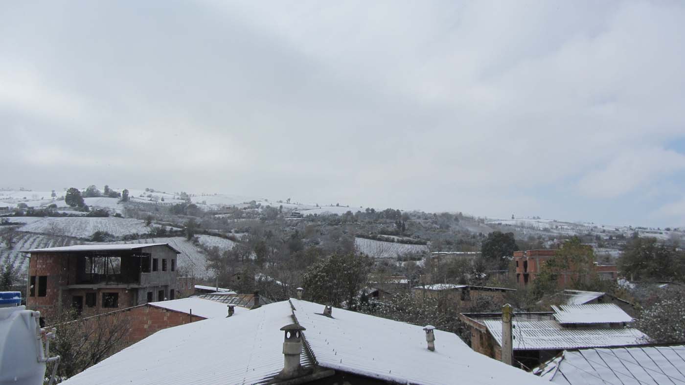 1_10_.jpg (1400×787)