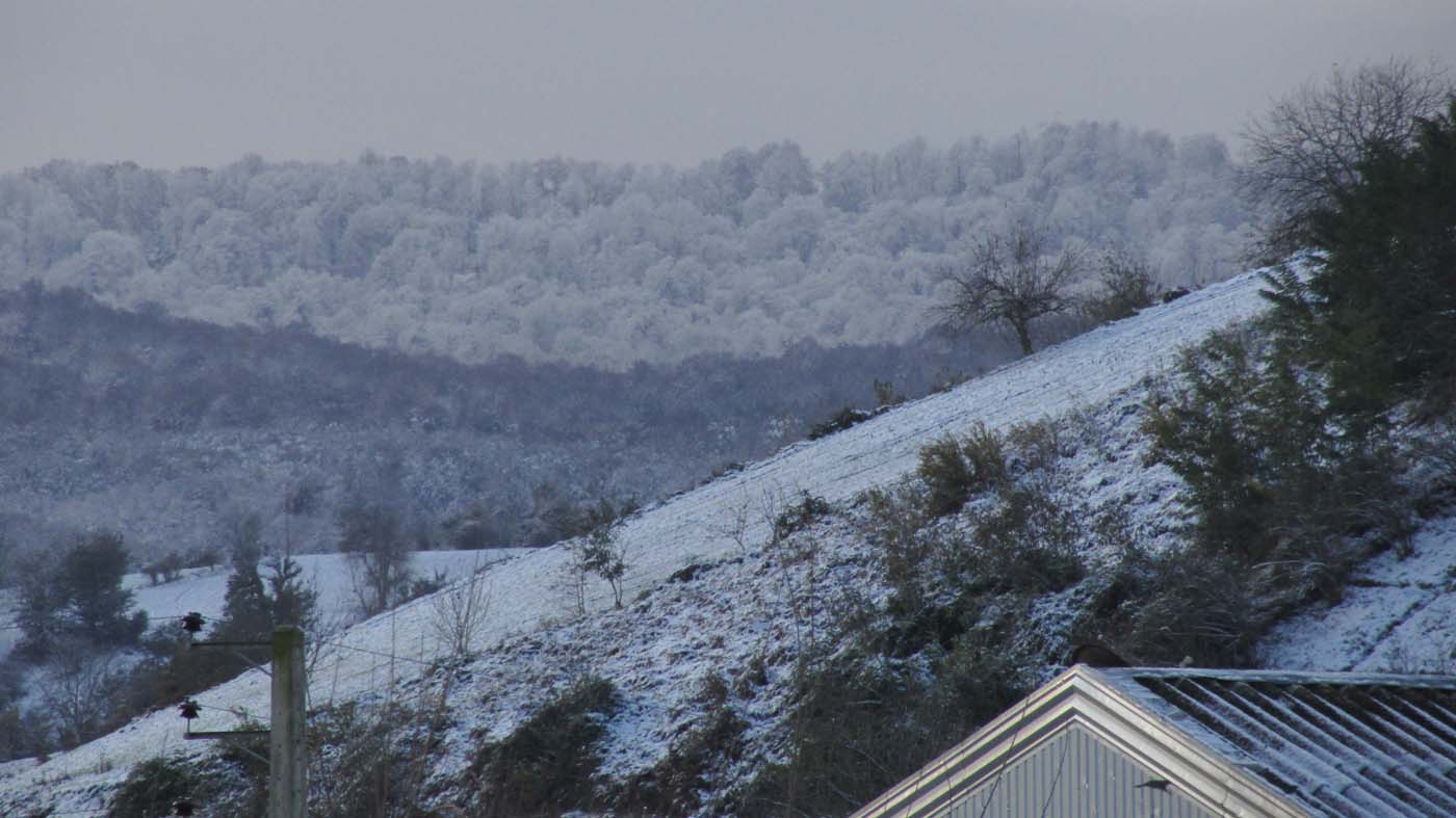 1_12_.jpg (1400×787)