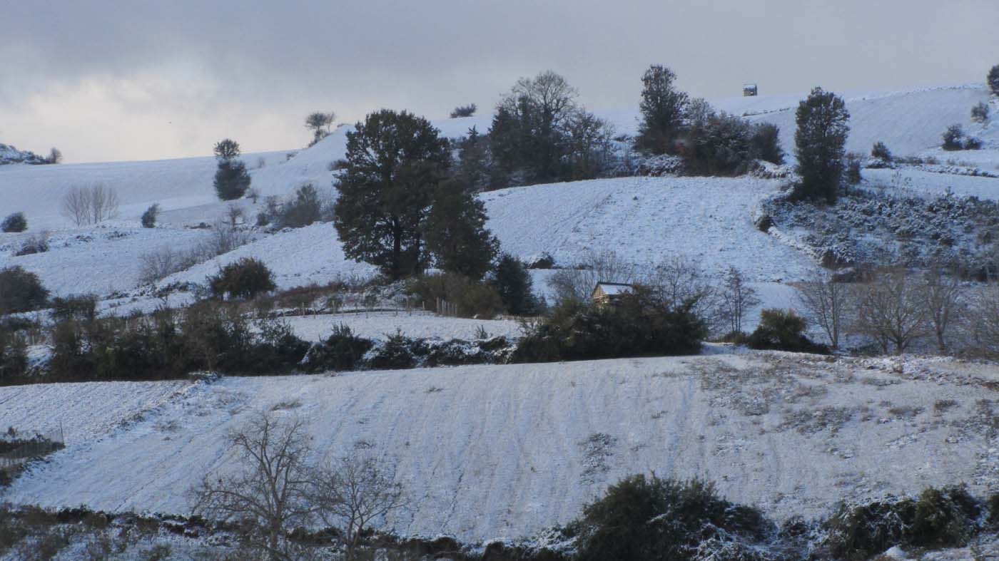 1_13_.jpg (1400×787)