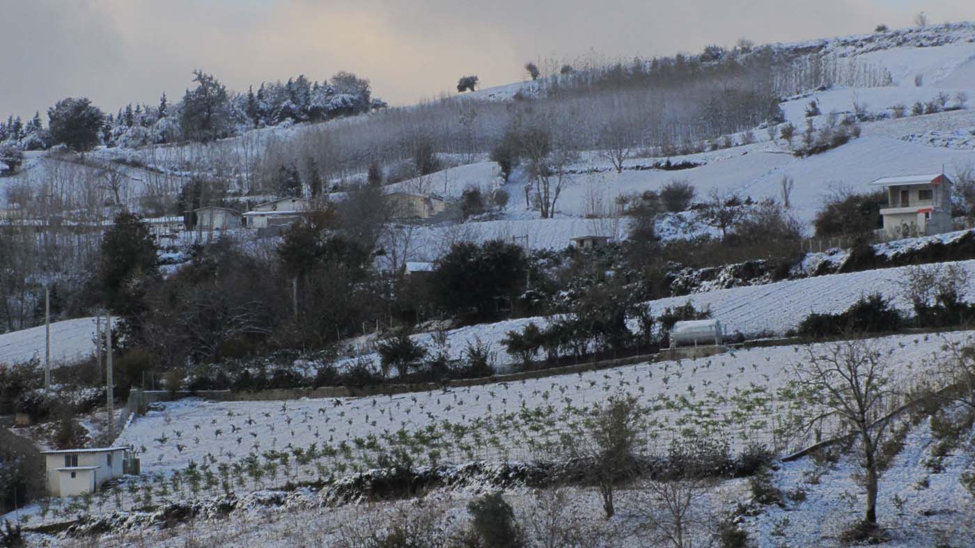 1_15_.jpg (1400×787)