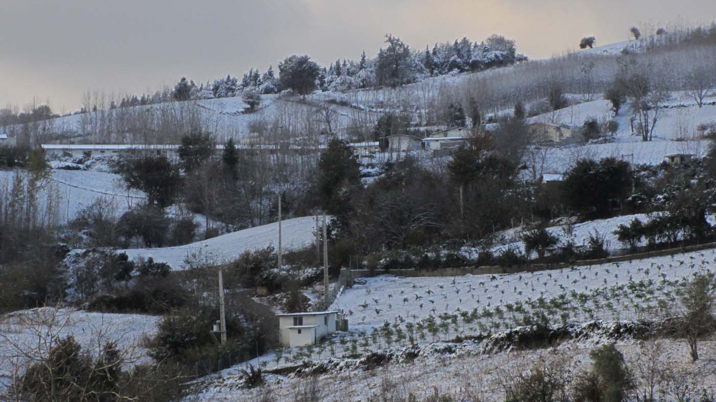 1_16_.jpg (1400×787)