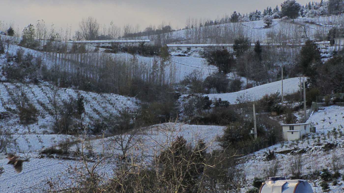 1_17_.jpg (1400×787)