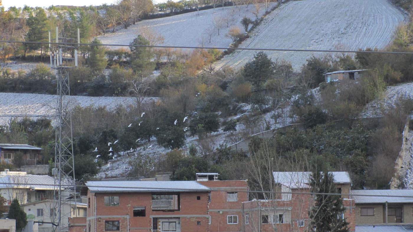 1_24_.jpg (1400×787)