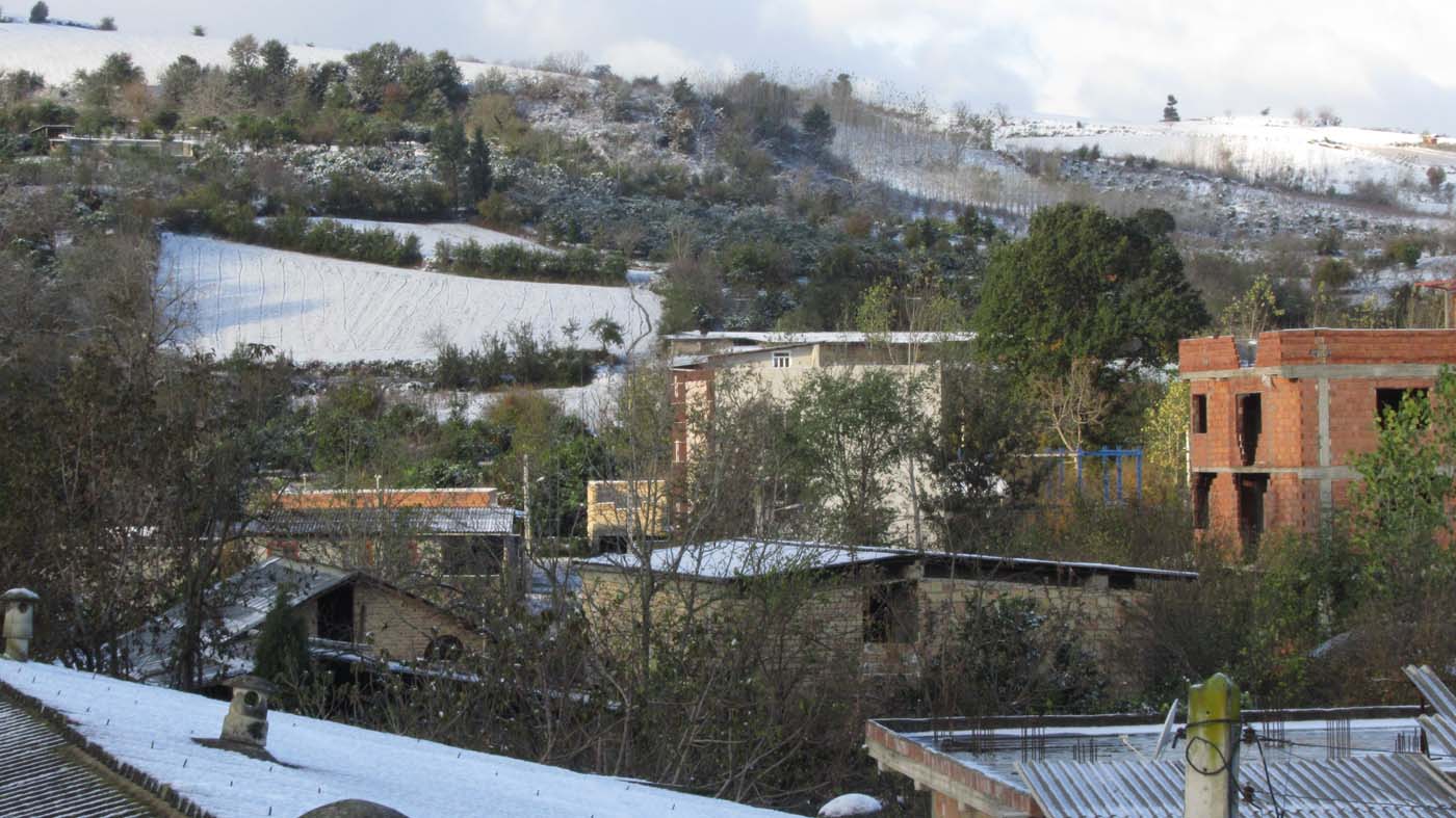 1_31_.jpg (1400×787)