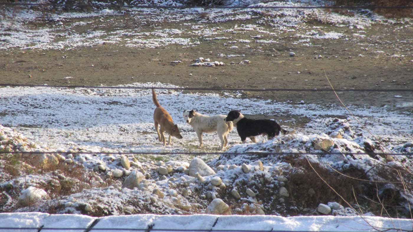 1_32_.jpg (1400×787)