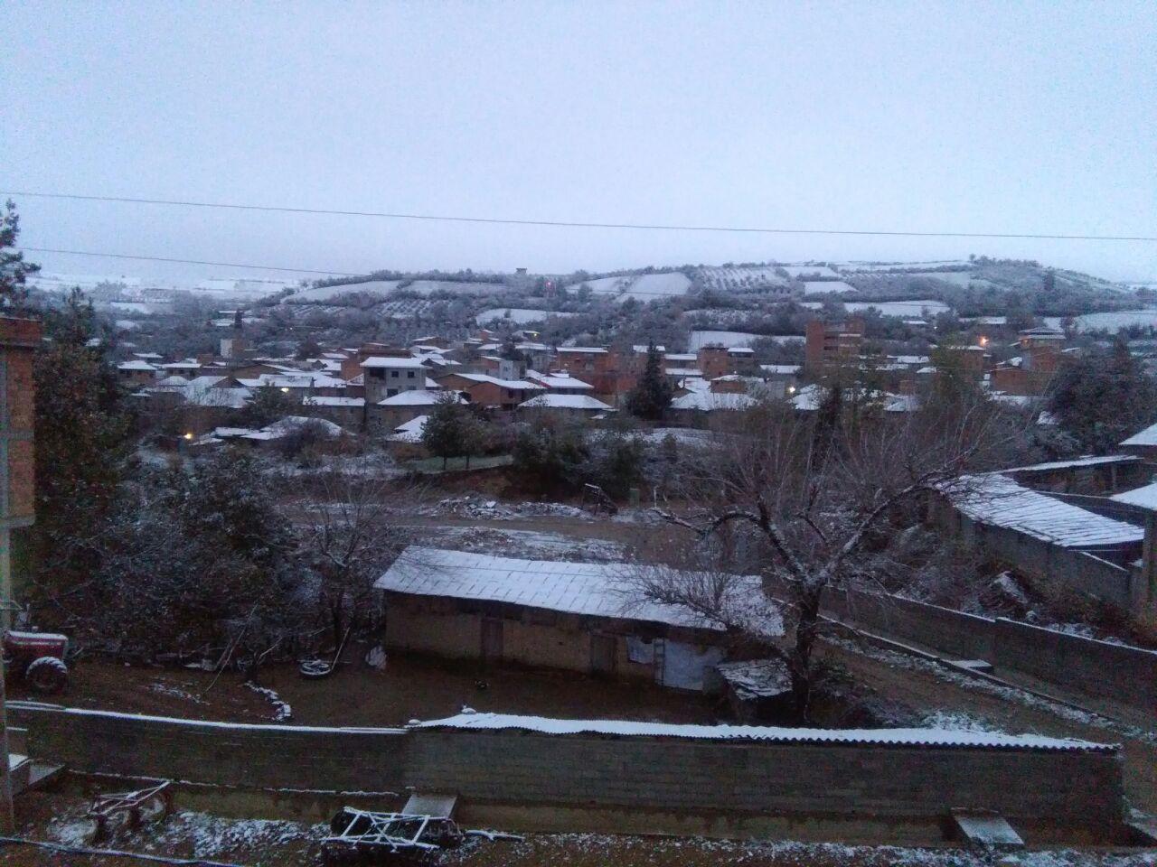 1_39_.jpg (1280×960)