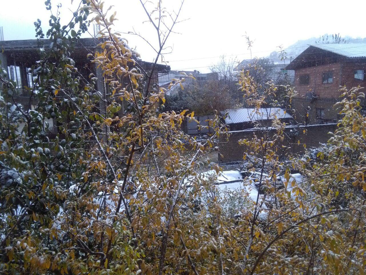 1_42_.jpg (1280×960)