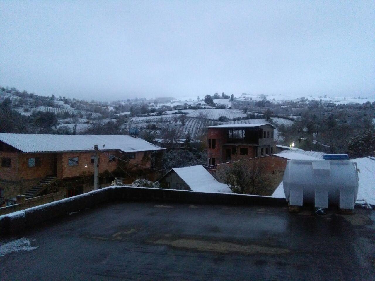 1_45_.jpg (1280×960)