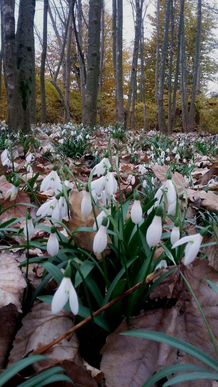 1_2_.jpg (720×1280)