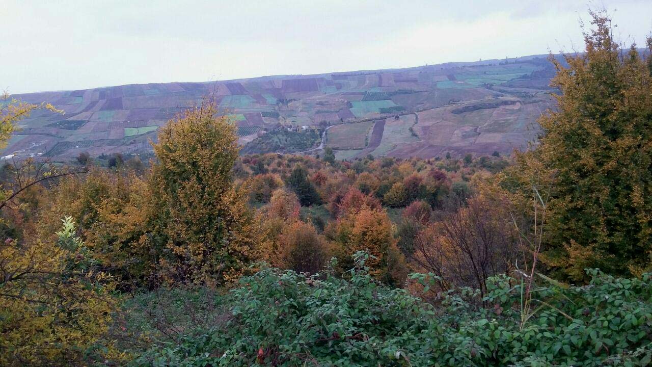 1_6_.jpg (1280×720)