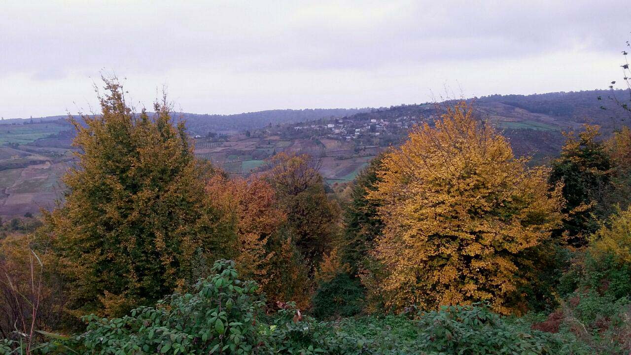 1_7_.jpg (1280×720)