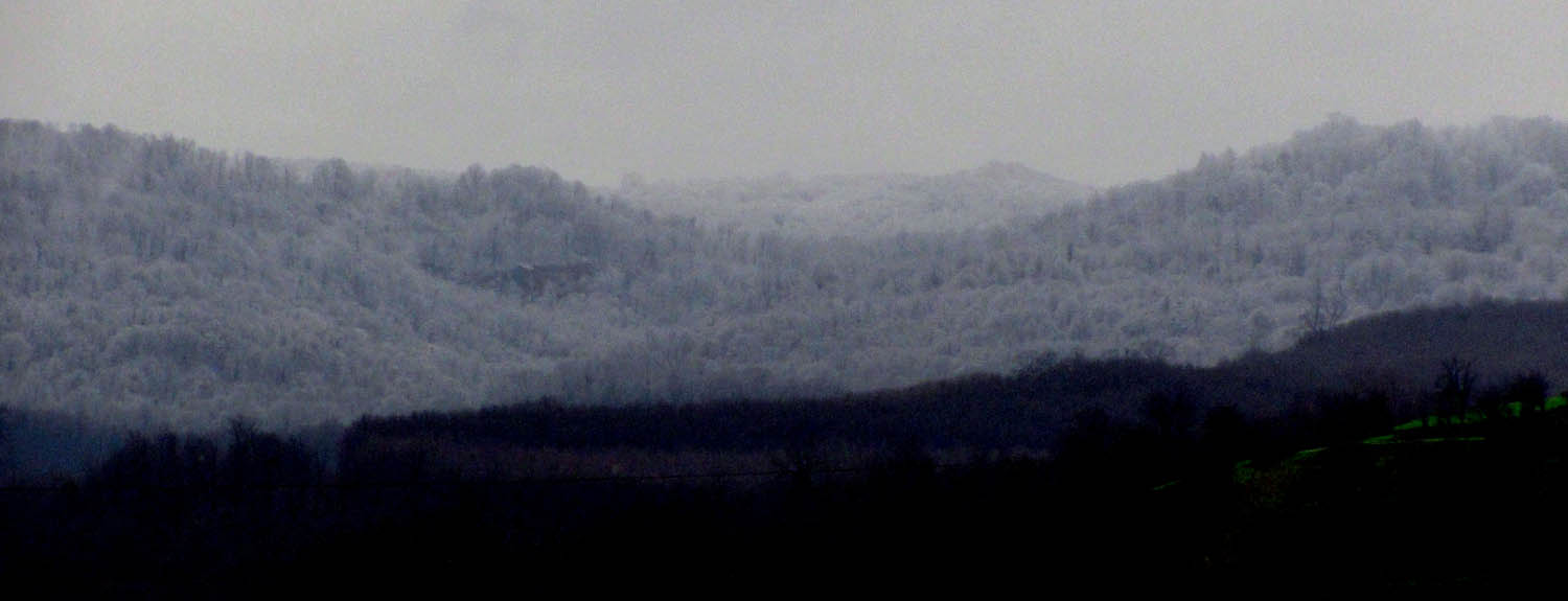 1_4_.JPG (1500×575)