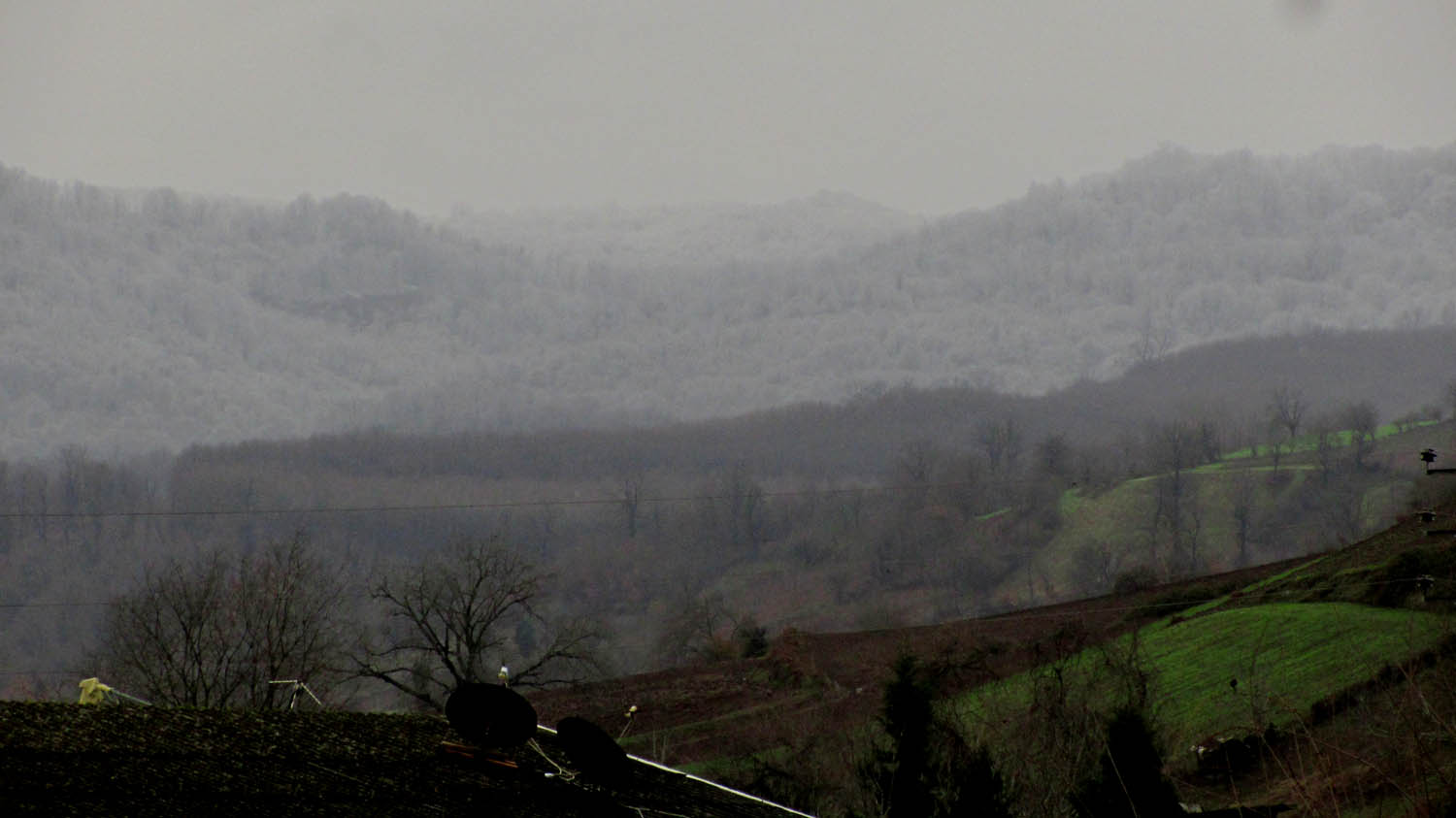 1_5_.JPG (1500×843)