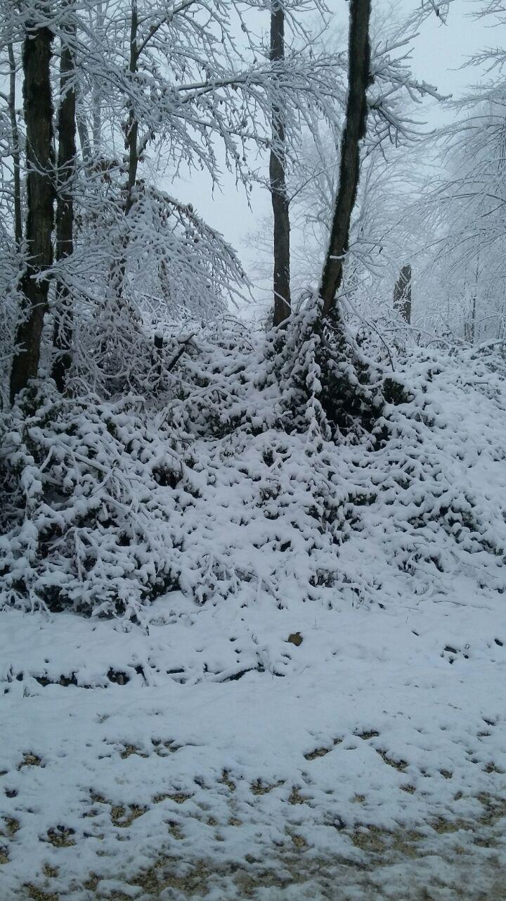 1_4_.jpg (720×1280)