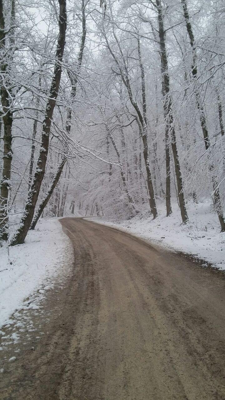 1_6_.jpg (720×1280)