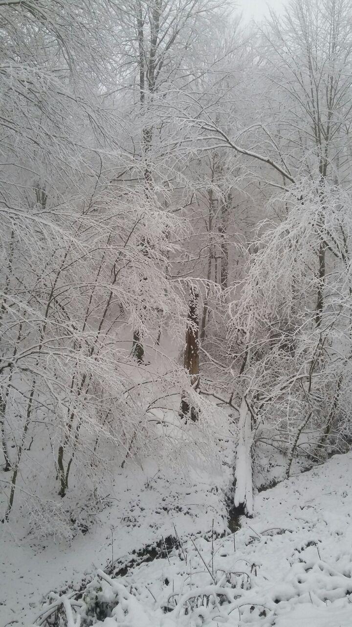 1_7_.jpg (720×1280)