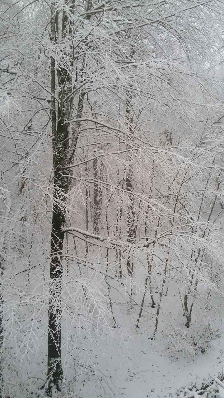 1_8_.jpg (720×1280)