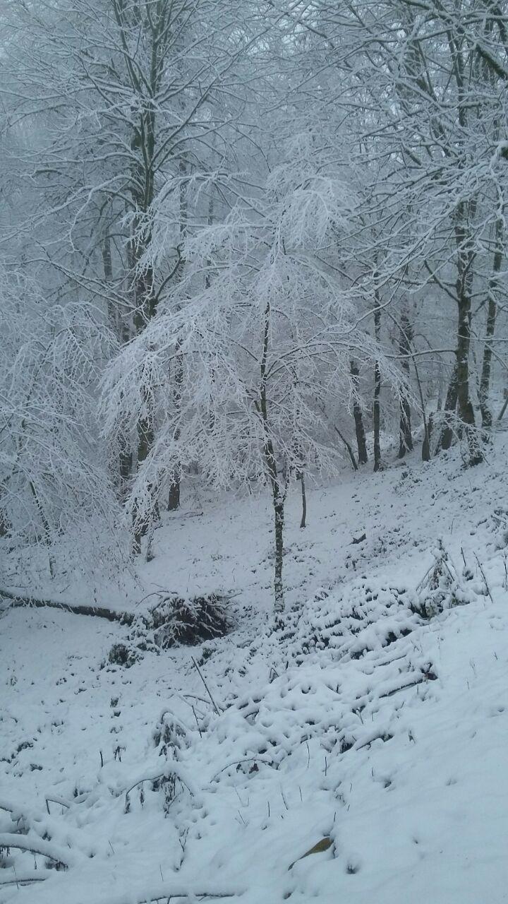 1_9_.jpg (720×1280)