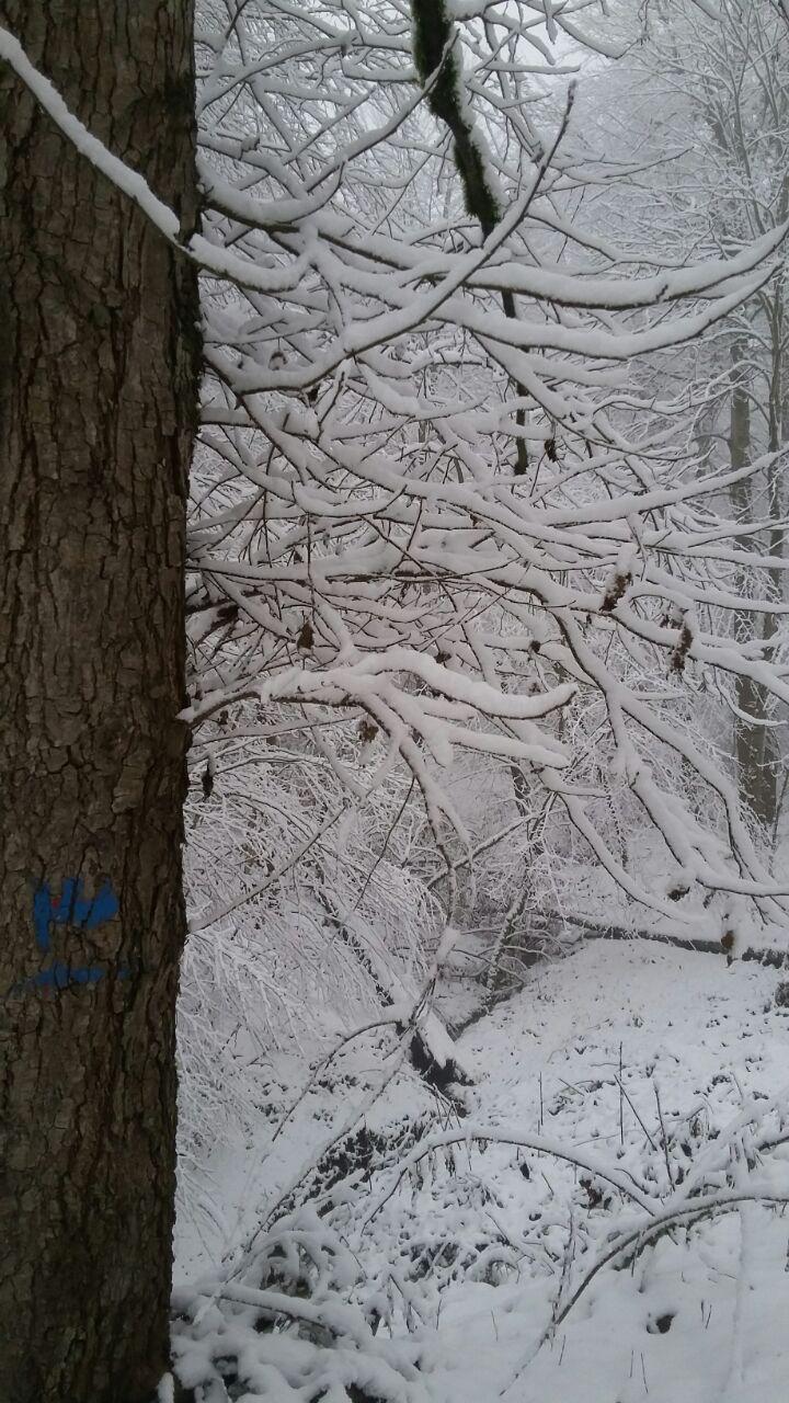 1_10_.jpg (720×1280)