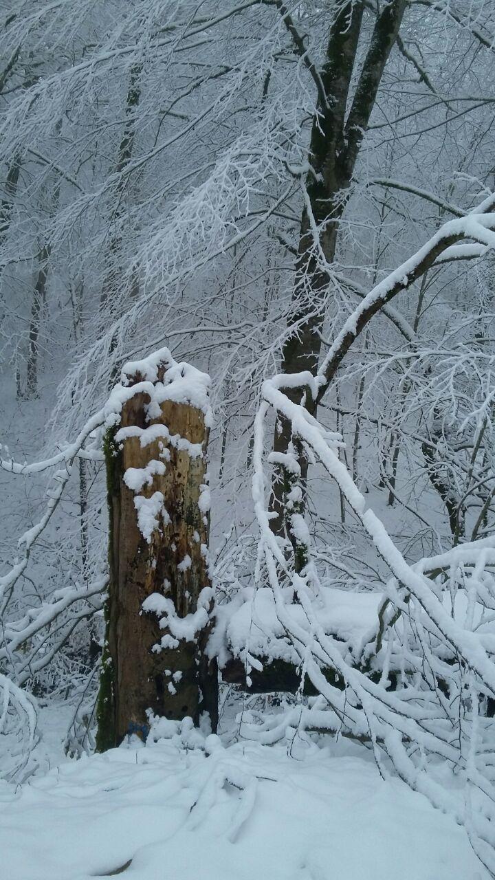 1_11_.jpg (720×1280)