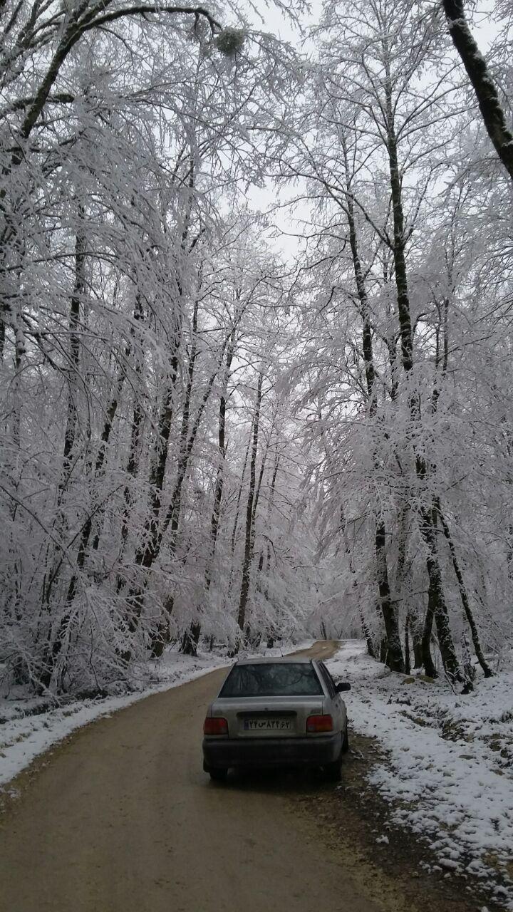 1_12_.jpg (720×1280)