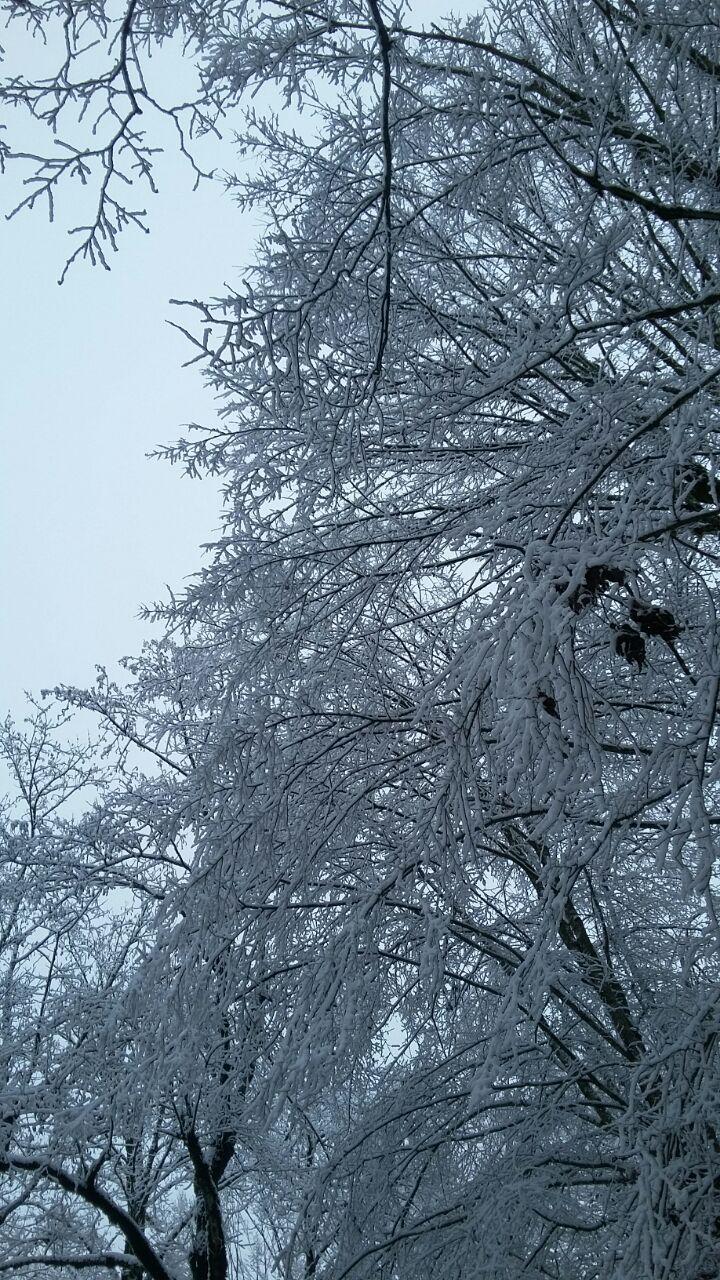 1_13_.jpg (720×1280)