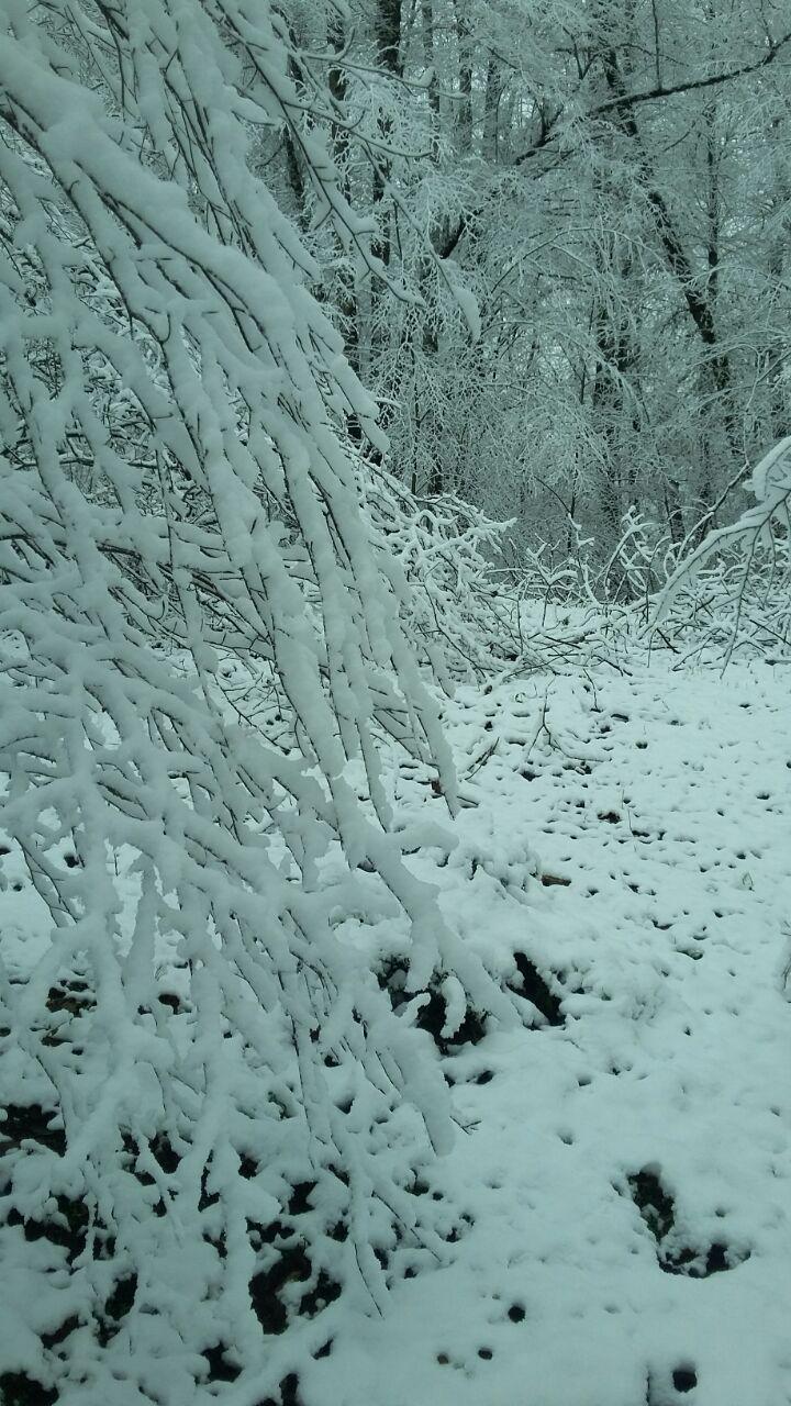 1_17_.jpg (720×1280)