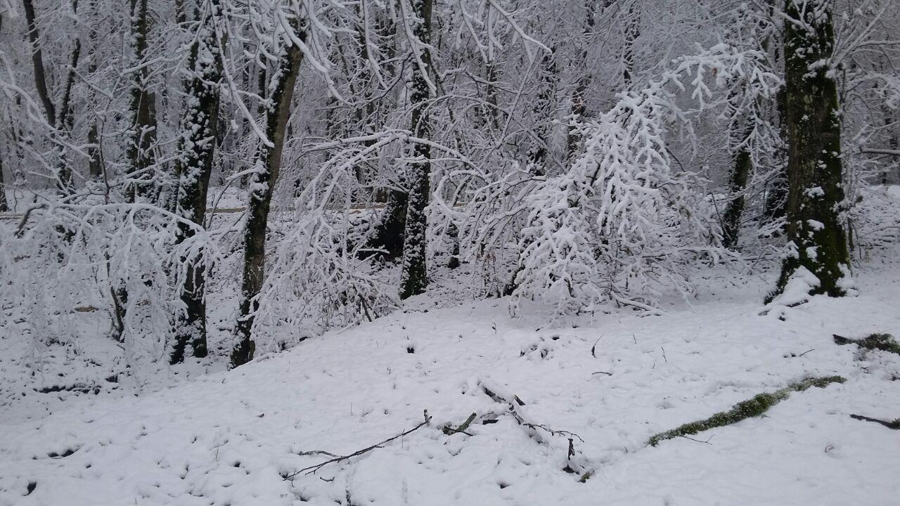 1_18_.jpg (1280×720)