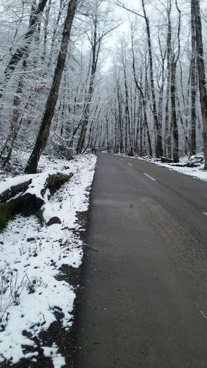 1_23_.jpg (720×1280)