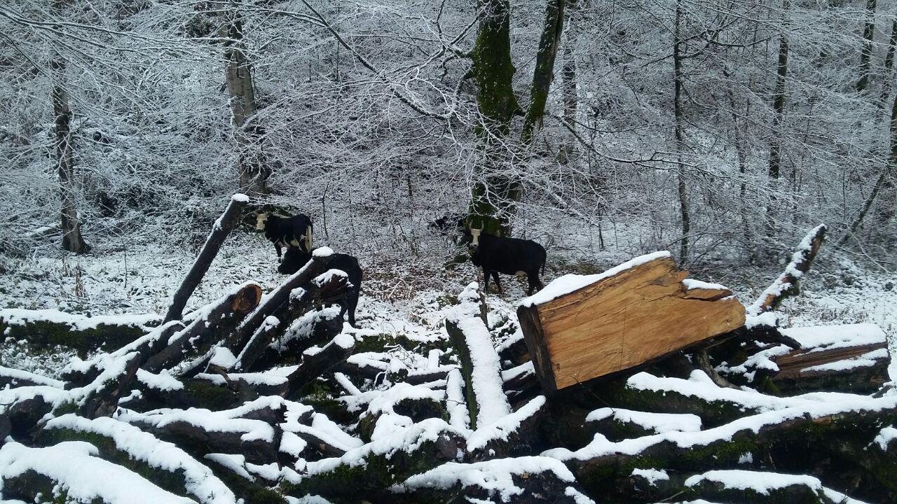 1_24_.jpg (1280×720)