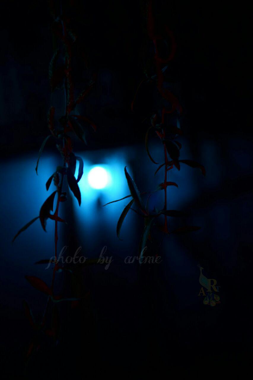 http://s9.picofile.com/file/8279237584/photo_2016_12_20_10_16_31.jpg