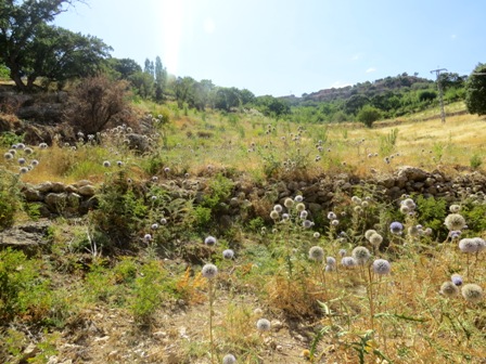 http://s9.picofile.com/file/8279281442/IMG_5308.JPG