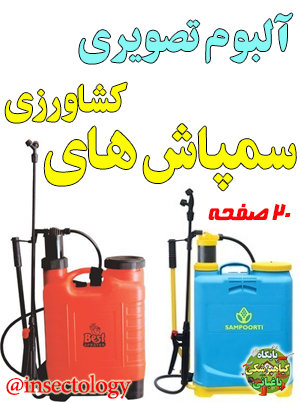 پروانه مینوز گوجه فرنگی