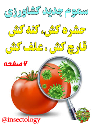 پروانه مینوز گوجه فرنگی