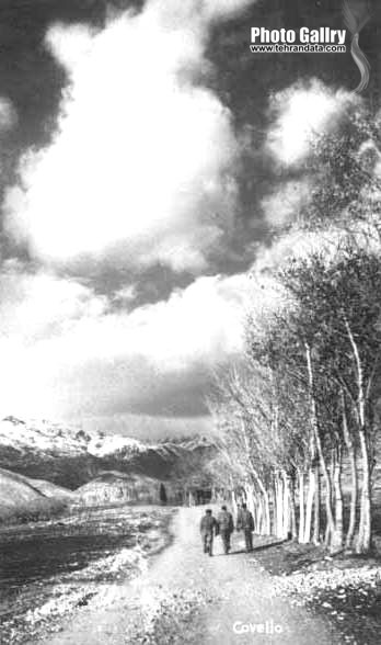 ونك 1299 شمسی