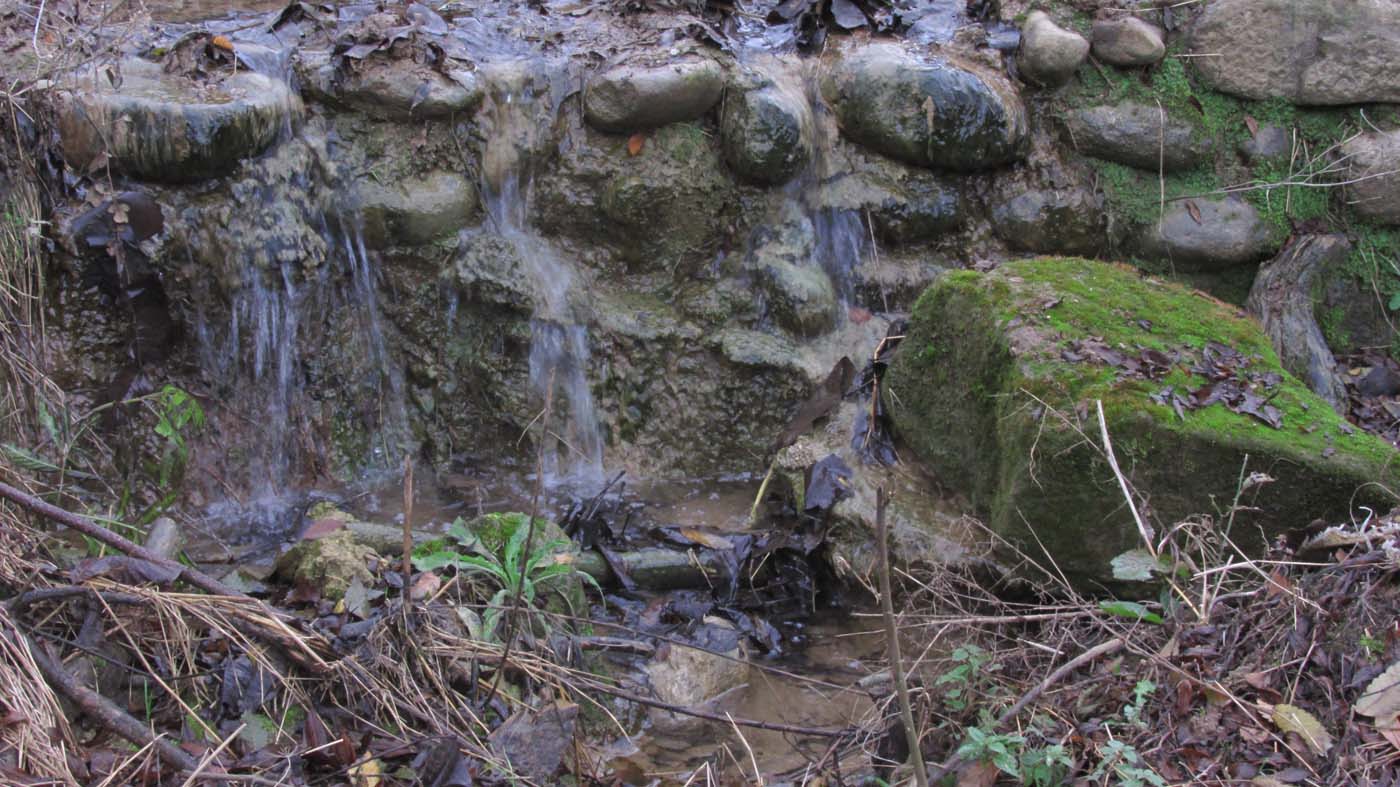 1_4_.JPG (1400×787)