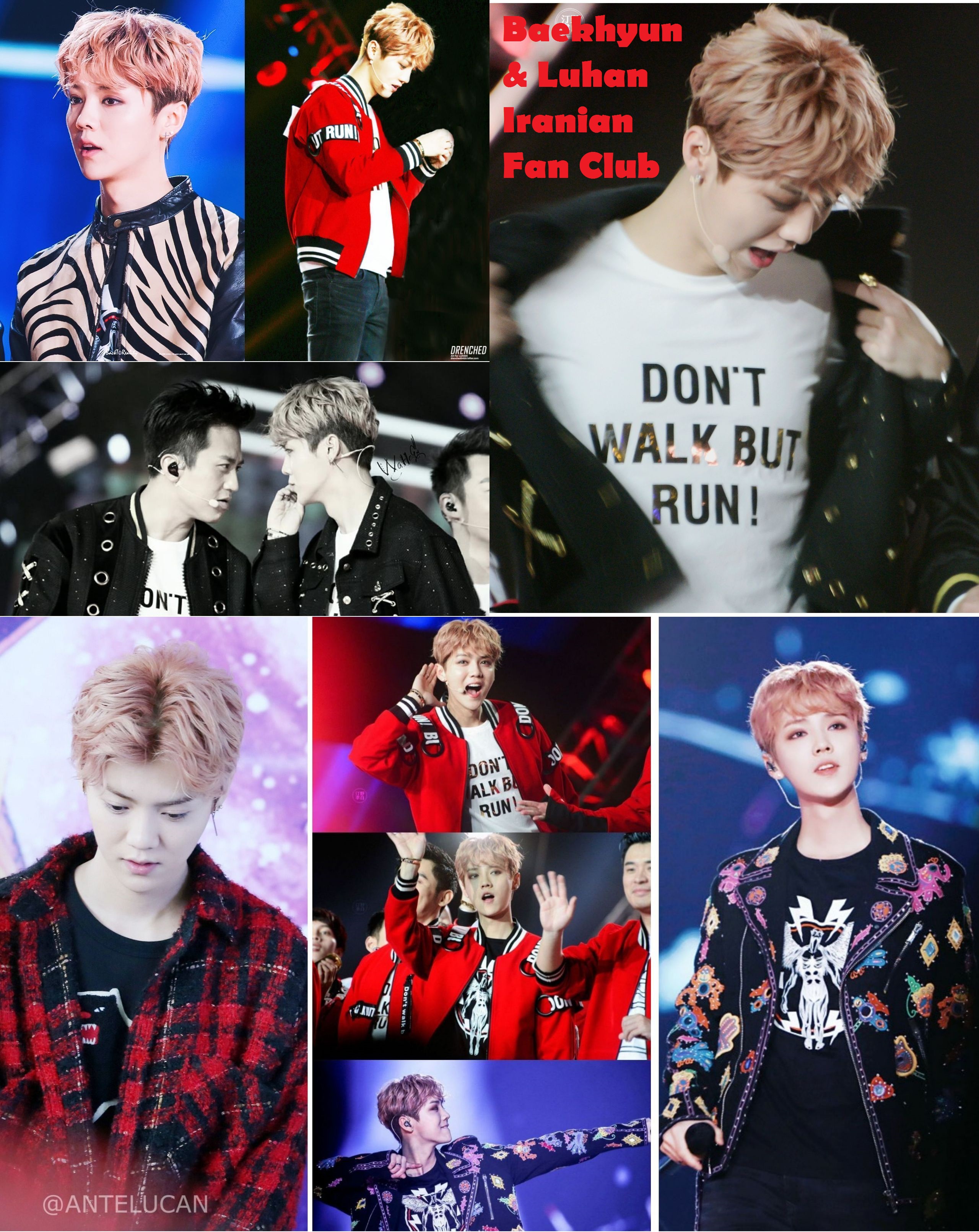 Baekhyun & Luhan Iranian Fan Club