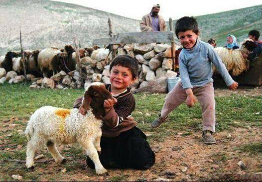 آذری