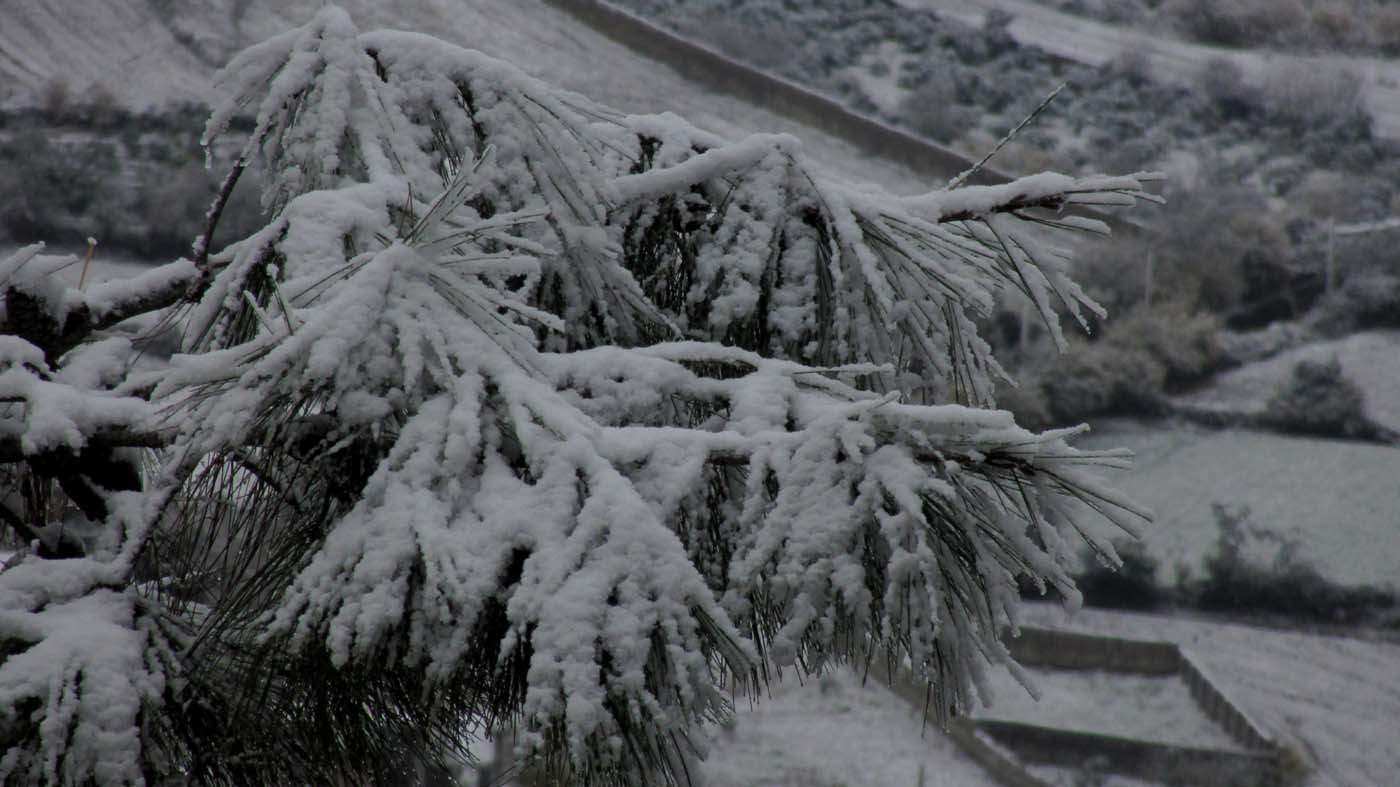 1_6_.JPG (1400×787)