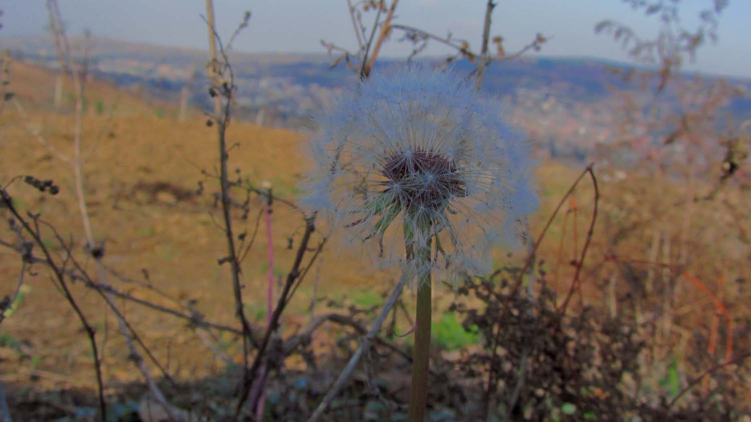 1_6_.JPG (1500×843)