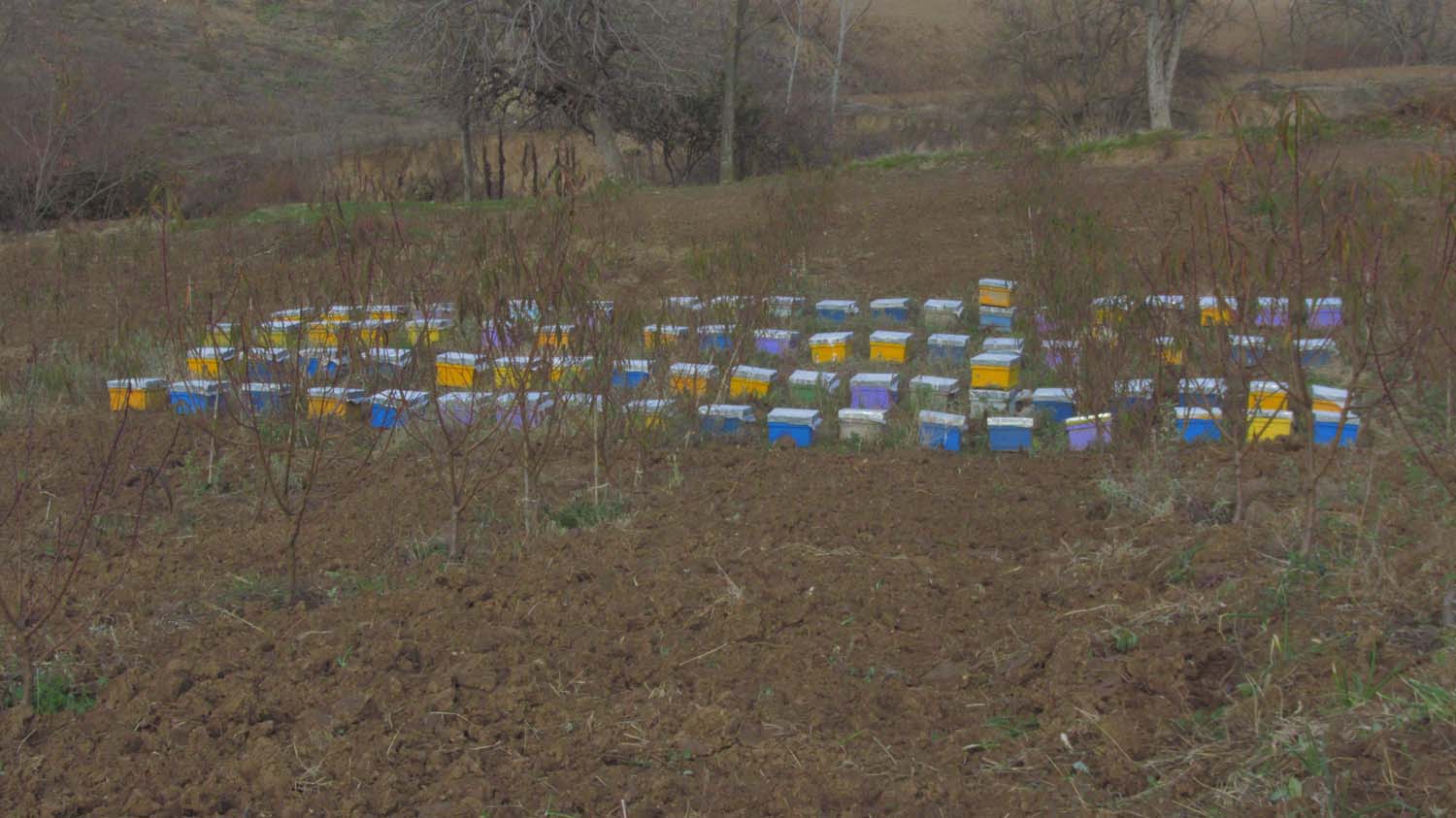 1_7_.JPG (1500×843)