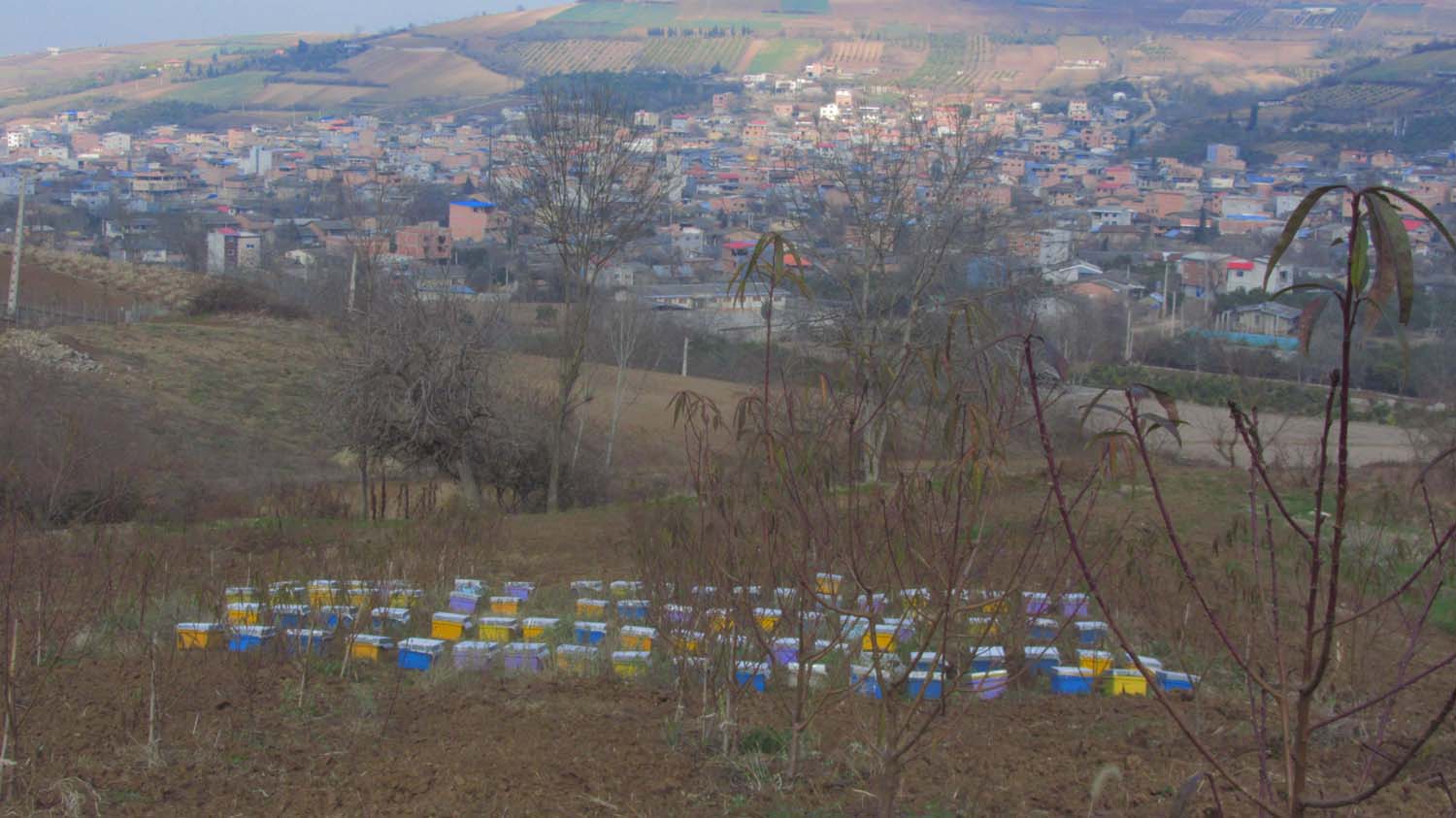 1_9_.JPG (1500×843)