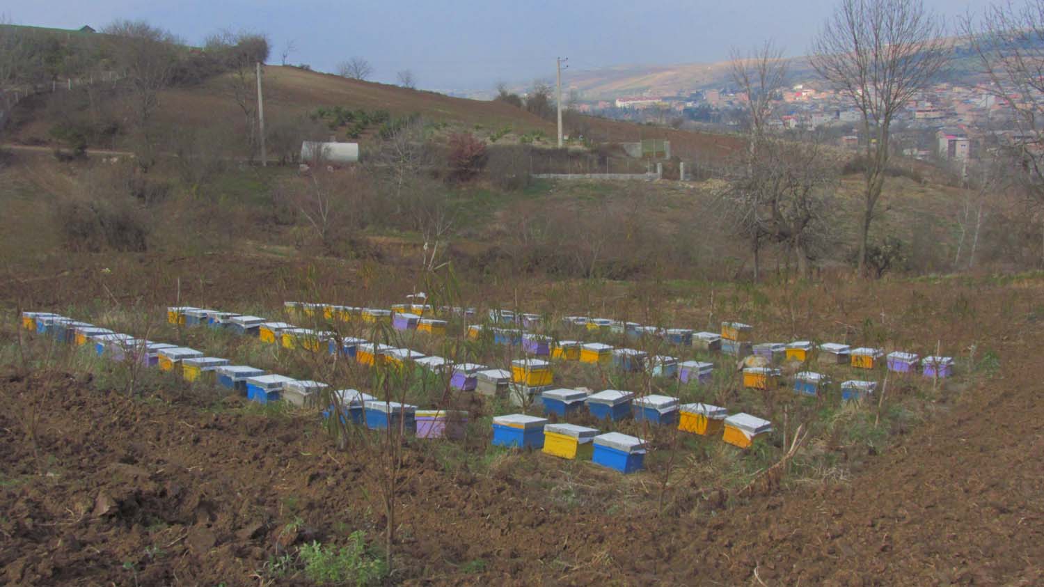 1_10_.JPG (1500×843)