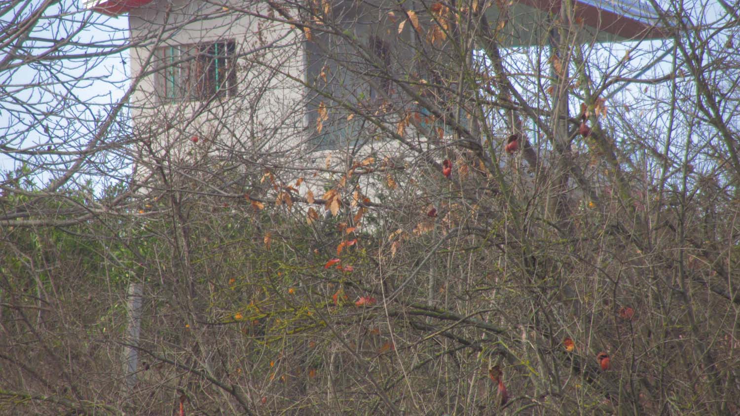 1_12_.JPG (1500×843)