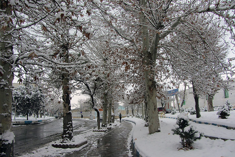 میانه