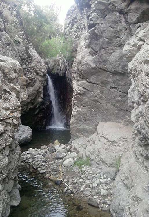 سیدلر